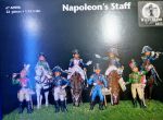 AP090 Napoleon's Staff (8 psc)